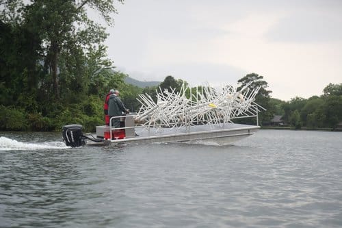 Lake Hamilton Habitat Project