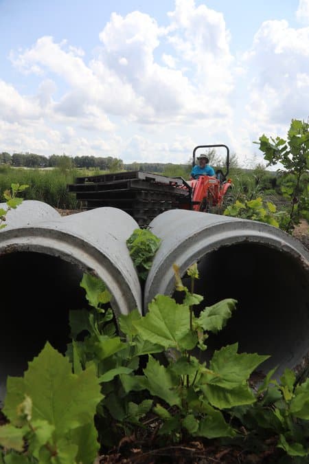 Habitat work has been nonstop this year at Lake Poinsett in preparation of the lake refilling