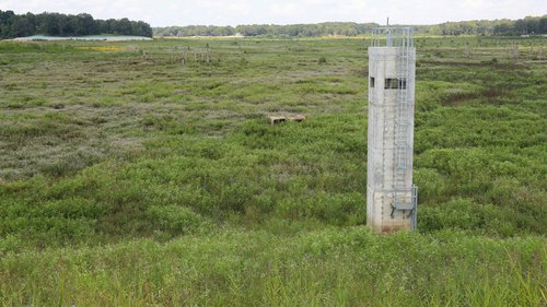 Lake Poinsett is the largest lake renovation in the AGFC's history