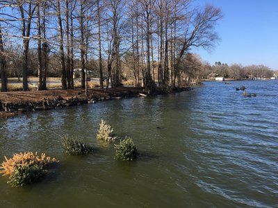 Tops of fish attractors visible at water's surface.