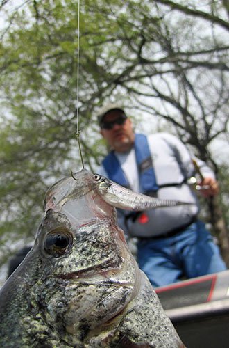 Live bait fishing