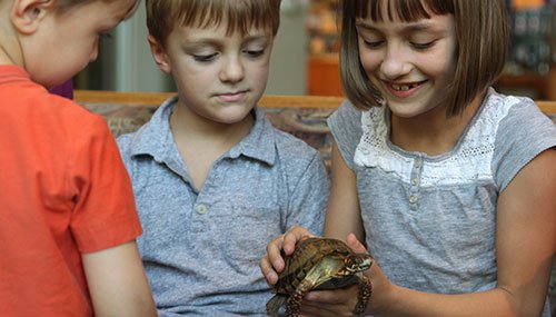 Kids at the Witt Stephens Central Arkansas Nature Center in Little Rock