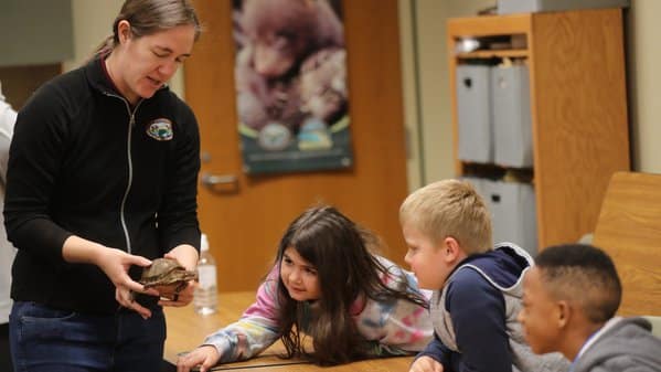 Wildlife fines fuel conservation education in the county where they were collected.