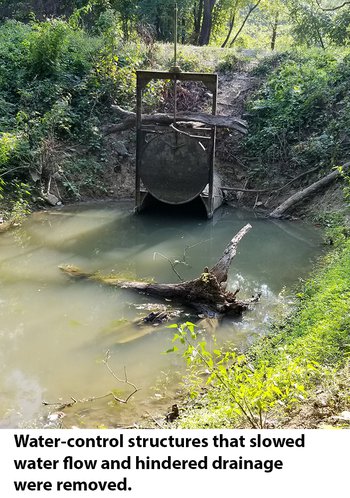 Mallard Pond Road water-control structure copy.jpg