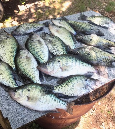 messofcrappie.jpg