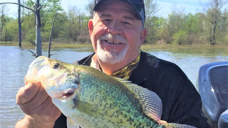 Arkansas Wildlife Weekly Fishing Report • Arkansas Game & Fish Commission