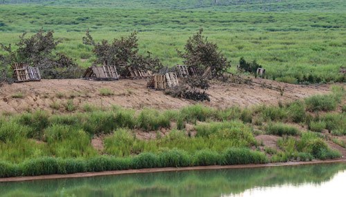 Palllet habitat