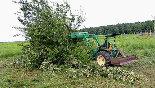 Brush piles