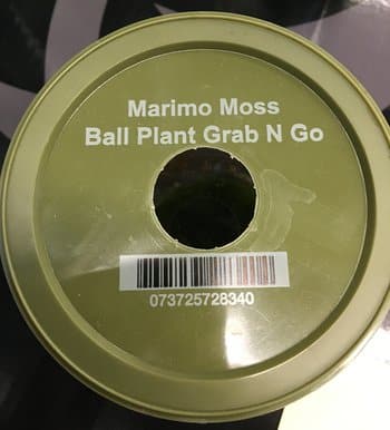 Marimo Moss Product.