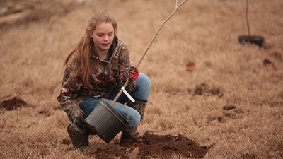 Student planting trees for schoolyard habitat