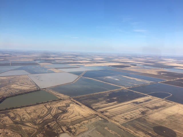 By delaying tilling fields until spring and flooding their fields, landowners can greatly increase the amount of food available for ducks, geese and other migratory birds.