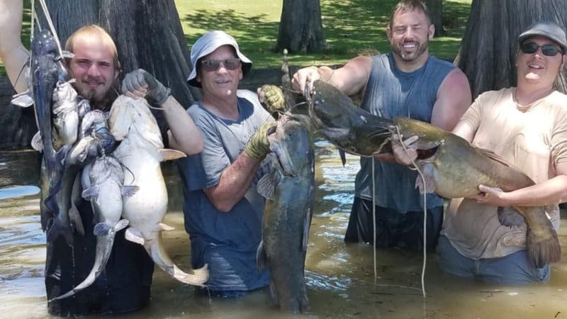Bank on Big Catfish from the Shore - Game & Fish