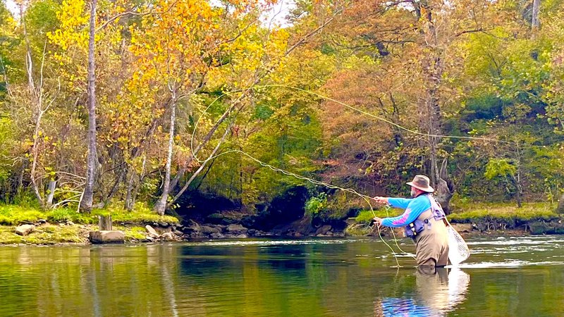 de Fools Gold Streamer - The Perfect Fly Store