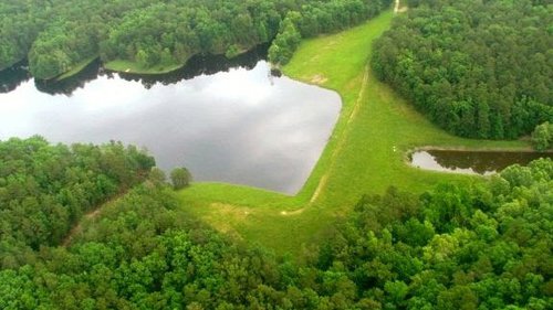 Lake Ouachita's Nursery Pond in the south fork of the lake