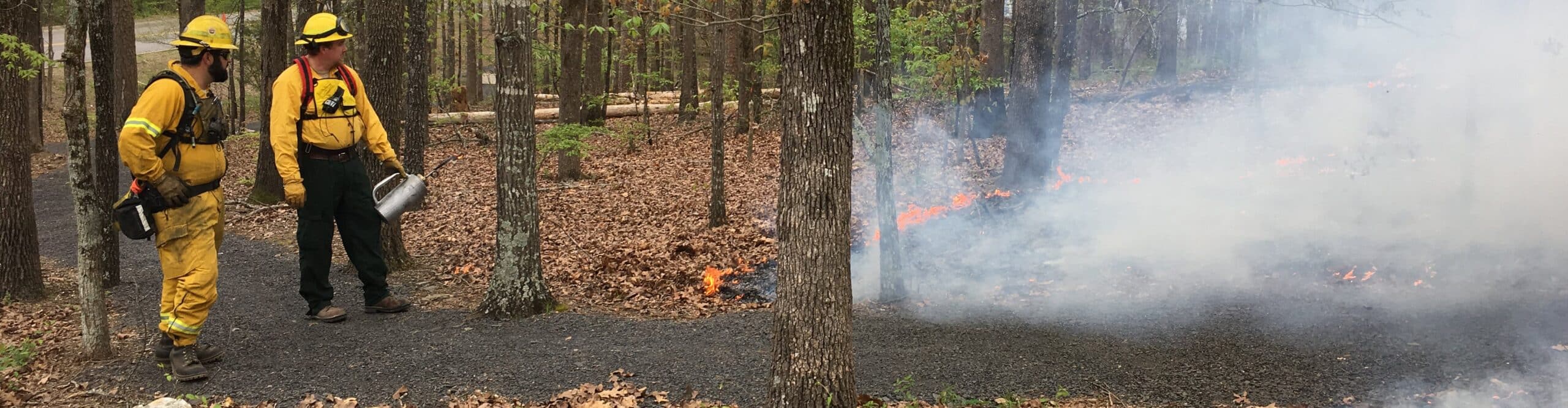Prescribed fire at Nuthatch Hollow