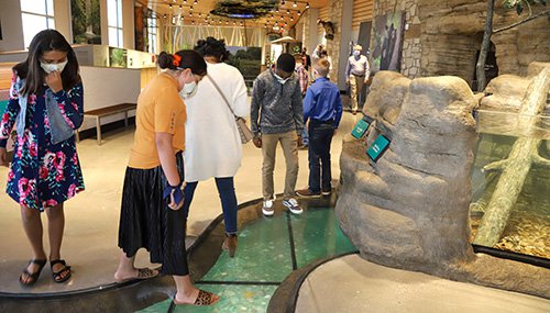 Nature center interior