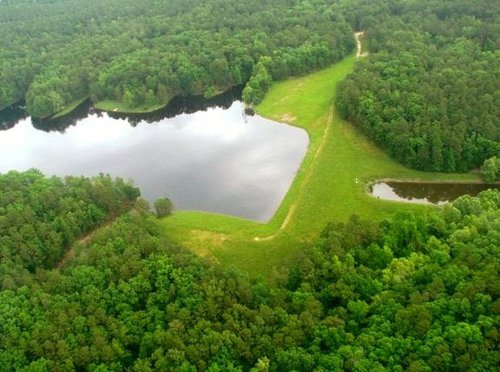 Lake Ouachita Nursery Pond