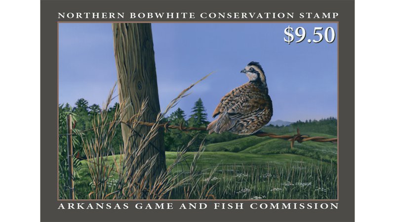 quail_stamp_hero__800x450_q85_crop_subsampling-2