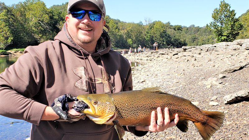 Looks Alive Minnow Beads BABY WALLEYE w/CRYSTAL EYE 