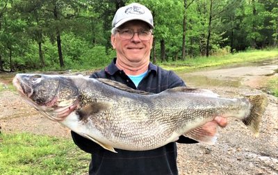 roger'swalleye.jpg