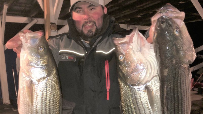 Arkansas Wildlife Weekly Fishing Report • Arkansas Game & Fish