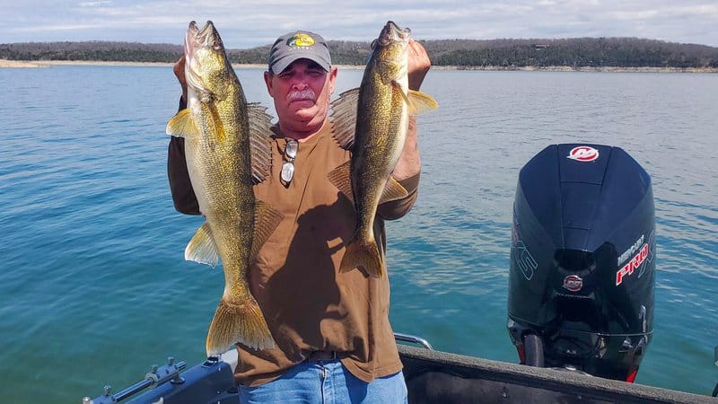 Walleye production high on Bull Shoals, Norfork lakes • Arkansas Game & Fish  Commission