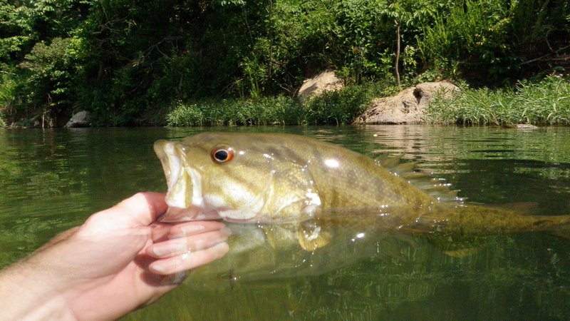 Drier conditions make for fantastic fishing in mountain