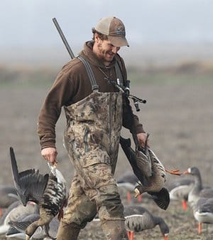 Specklebelly Geese Hunt  300887small.jpg