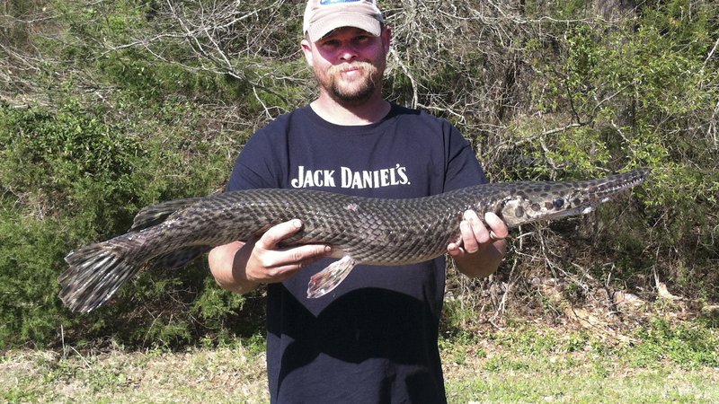 Weekly Fishing Report • Arkansas Game & Fish Commission