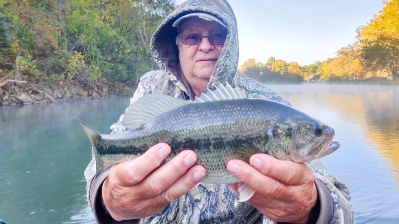 Swimbaits Fool Trophy Fish - Kentucky Department of Fish & Wildlife