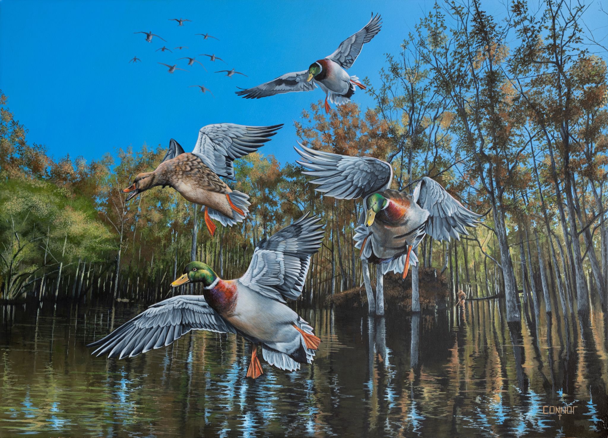 41st Annual State Duck Stamp