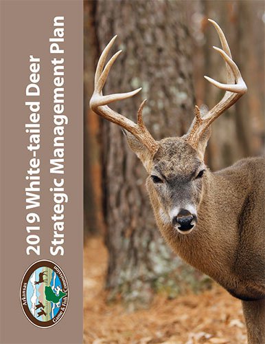 2019 White-tailed Deer Strategic Management Plan