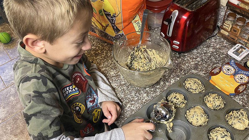 Almond Cake - Eating Bird Food