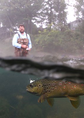 Fishing for trout