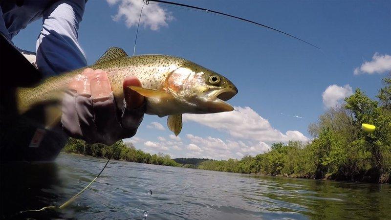 https://www.agfc.com/wp-content/uploads/2023/10/trout__800x450_q85_crop_subject_location-903549_subsampling-2.jpg