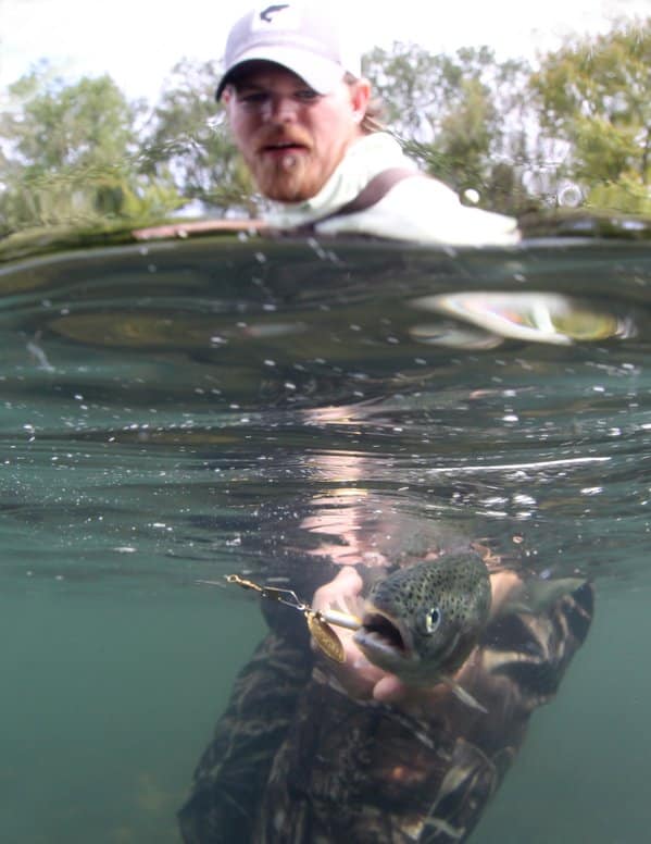 Keep trout in the water as much as possible during the catch.