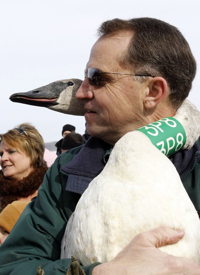 George Dunklin Jr. with trumpeter swan