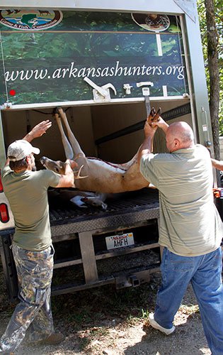 Loading deer into AHFH truck