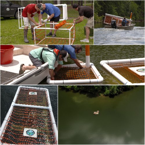 Building, transporting, placing floating vegetation cages