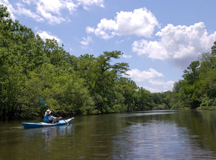 Kayaker on the Wattensaw WMA Water Trail