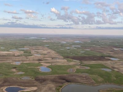 Ponds increased in North Dakota