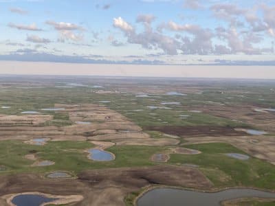 Ponds increased in North Dakota