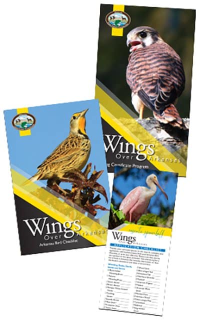 Program materials include brochures, certificates, bird lists and a newly redesigned Backyard Birds pocket guide.