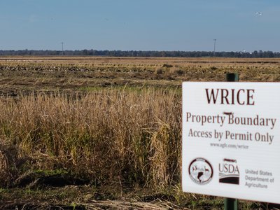 WRICE fields are clearly marked to prevent confusion.