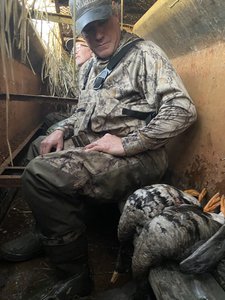 Waterfowl hunter with specklebelly geese