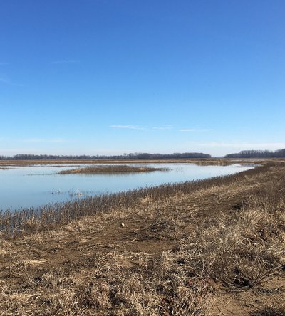 Water on the WRE field offers good duck hunting.