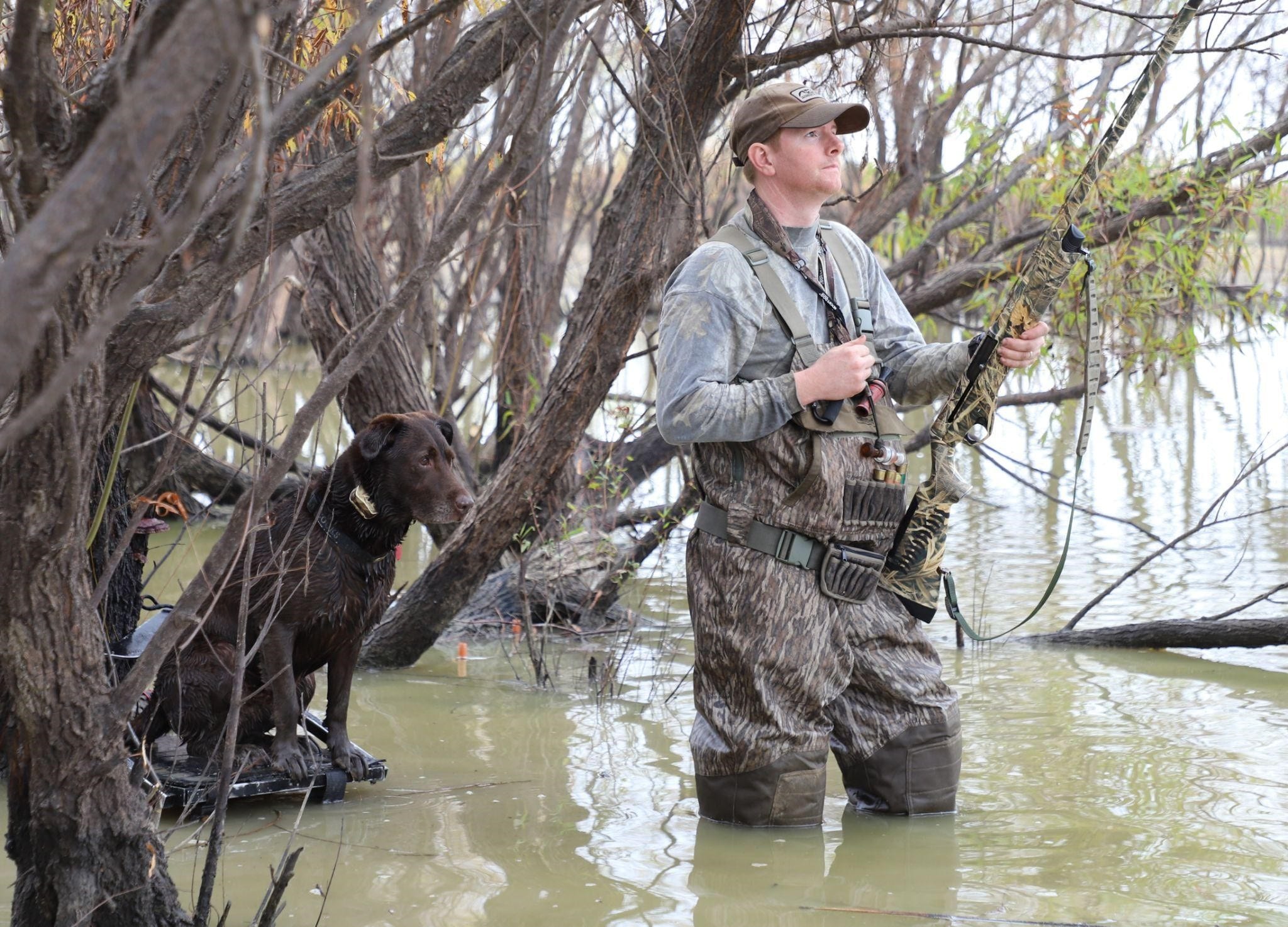 Estimated decline in duck population only part of fall flight story •  Arkansas Game & Fish Commission