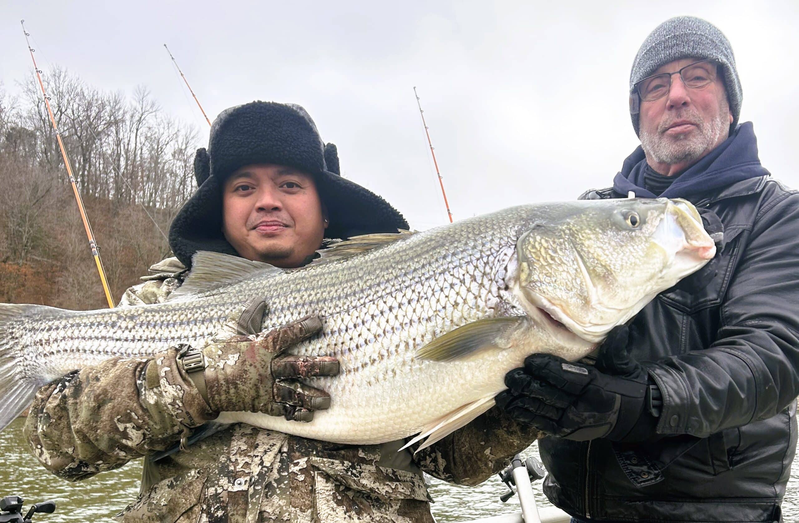 Spring White Bass III- Fly Tackle And Tactics – The Ozark Fly Fisher Journal