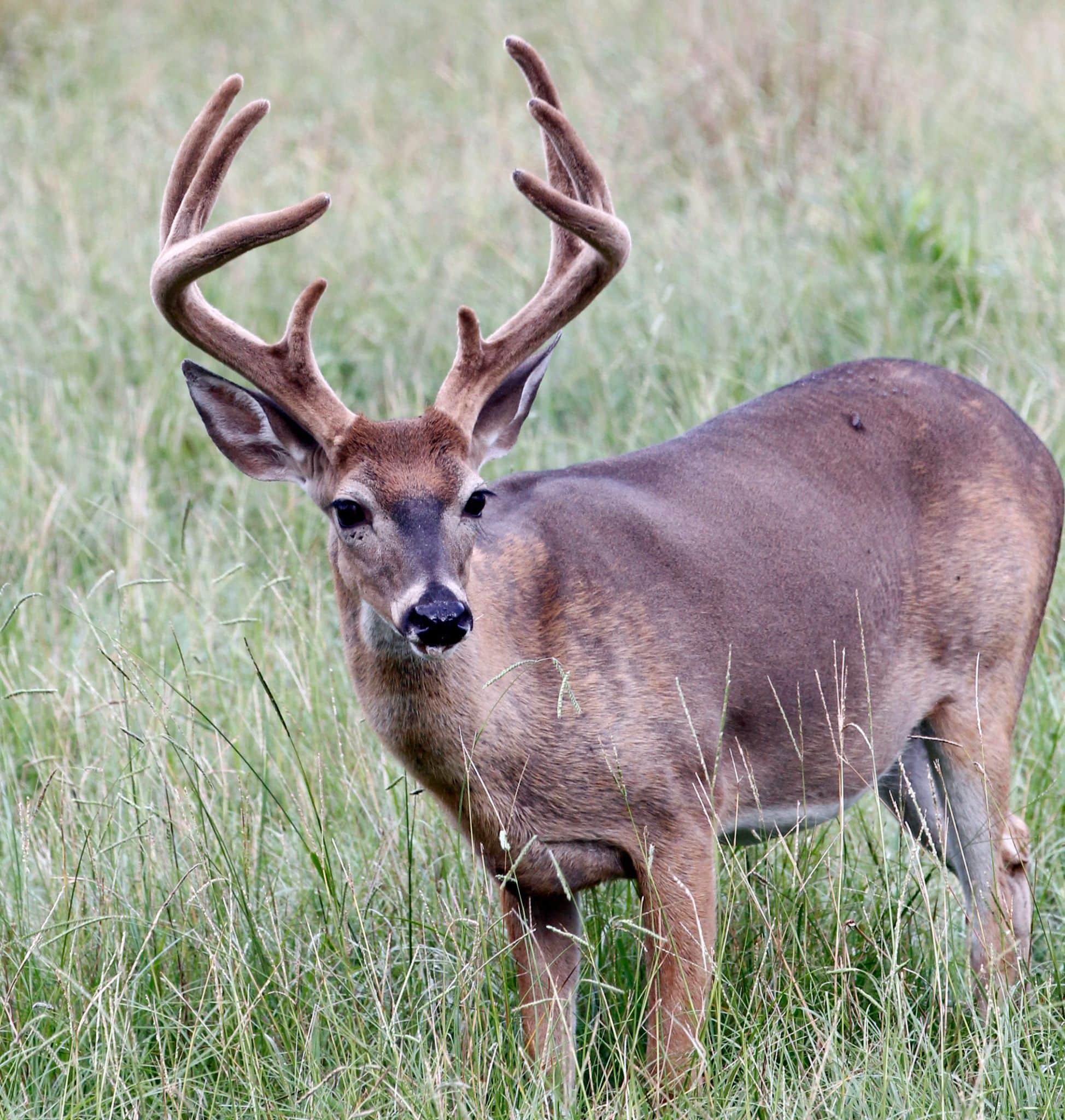 The high points of low water • Arkansas Game & Fish Commission