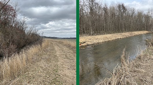 BEFORE/AFTER: Roughly six miles of overgrown brush along a diversion ditch at Shirey Bay Rainey Brake are being mulched to increase water flow through the system.